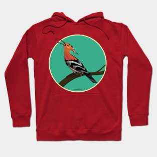 Hoopoe Hoodie